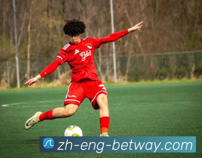 BETWAY必威官网平台生态图