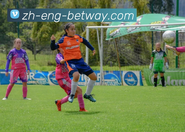 BETWAY必威官网全站App